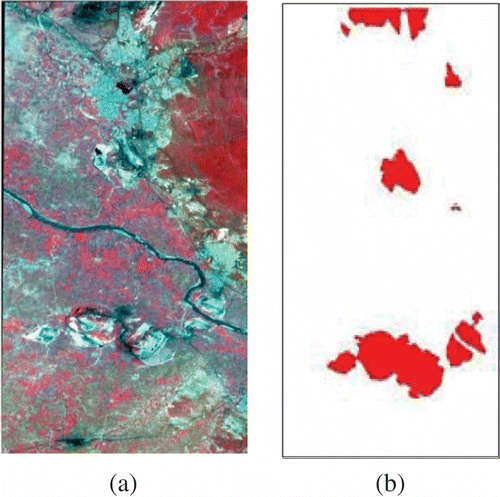 Figure 5. Mine areas extracted from LANDSAT multispectral imagery. (a) Original image and (b) Open cast mine areas.