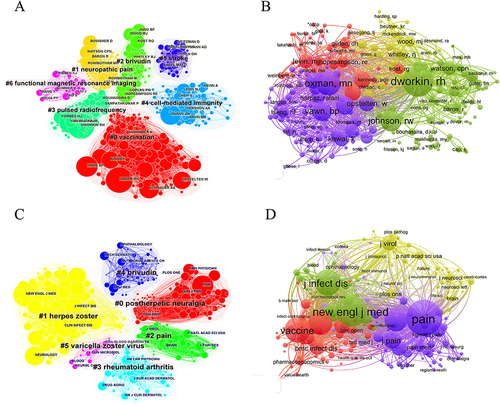 Figure 3 The co-cited authors (A and B) and co-cited journals (C and D) in the literature related to PHN and VZV were visualized and analyzed using Citespace and VOSviewer software.