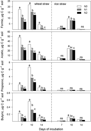 Figure 4  Response of the organic acid concentration in soil solution at different incubation times to N addition. N0, N1 and N2 refer to 0, 0.2 and 0.4 g urea kg−1 soil, respectively. Bars labeled with different letters were significant (P < 0.05) within each incubation time. ns, not significant.