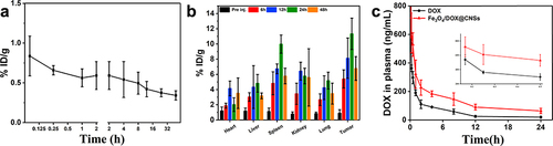 Figure 8 (a) Blood circulation and (b) biodistribution of Fe3O4/DOX@CNSs observed after intravenous injection in mice. Fe concentration measurements were performed by ICP- MS. (c) Pharmacokinetic of free DOX and Fe3O4/DOX@CNSs after a single dosage intravenous to rat.