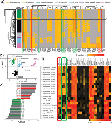 Figure 2. B. kashiwanohense glycobiome and associated growth profiles.