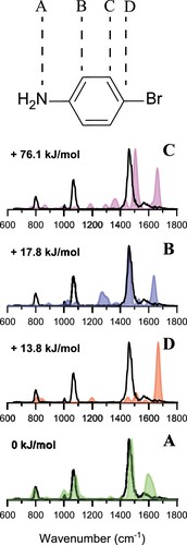 Figure 2. Experimental spectrum of protonated 4-bromoaniline (black in all panels) compared to computationally predicted spectra of its four different protonation isomers labelled A through D. The shaded coloured spectra represent the stick spectra convoluted with a 30 cm−1 FWHM Gaussian profile. Harmonic frequencies are calculated at the B3LYP/6-31++G(d,p) level and are scaled by 0.975. Relative Gibbs energies (at 298 K) are shown for each isomer.
