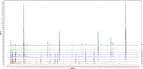 Figure 1. HPLC fingerprints of NSTC samples.