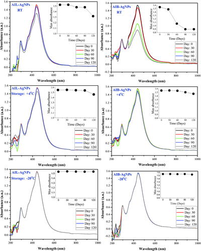 Figure 10. Surface plasma resonance stability of silver nanoparticles in different storage condition. AIL-AgNPs: A. indica leaves silver nanoparticles; AIB-AgNPs: A. indica bark silver nanoparticles; RT: room temperature.