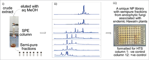 Figure 2. Fractionation and preparation of semi-pure fractions into 96-well plates. Detailed overview of the process for generating pre-fractionated samples. i). HP20 SPE pre-fractionation. ii). HPLC analysis of 7 fractions from strain FT001. As shown in ii, compounds in pre-fractionated sample could be readily separated. iii). The seven fractions and the crude (A-H) from each culture are formatted into a 96-well block for screening, 80 samples per plate.