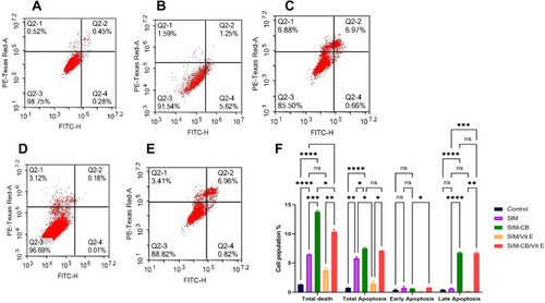 Figure 5 Apoptosis analysis using Annexin V/Propidium iodide apoptosis assay: (A) Control untreated cells (B) Free SIM treated cells (C) SIM-CB treated cells (D) SIM and Vitamin E treated cells (E) SIM-CB and Vitamin E treated cells. (Q2-3 denotes viable cells; Q2-4 denotes cells at early apoptotic stage; Q2-2 denotes late apoptotic stage and Q2-1 denotes necrotic cells. (F) Comparative statistical analysis of apoptosis and total cell deaths using Two- way ANOVA followed by post-hoc Tukey’s test. Data are represented as mean ± SD (* significant difference at p < 0.05, **Significance at p < 0.01, ***Significance at p < 0.001, ****Significance at p < 0.0001). Tests were repeated in Triplicates.