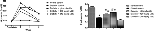 Figure 1. Effect of M. lucida leaf extract (MLE) on fasting glycemia and insulinemia in alloxan-induced diabetic rats. Fasting glycemia was kept above 200 mg/dl in both diabetic control and 240 mg/kg MLE group, while glibenclamide and 120 mg/kg MLE treatments lowered fasting glycemia. Meanwhile, alloxan reduced circulating insulin, while administration of glibenclamide and 120 mg/kg MLE elevated blood insulin level (*p < 0.05 vs. normal control; #p < 0.05 vs. diabetic control; n = 4).