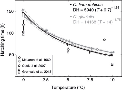Fig. 2  Relationship between median hatching time and temperature based on the best model aa–bb–αα, with ±95% Bayesian credibility interval shown by dotted lines, and the comparison of the obtained hatching rates with other studies. Whiskers indicate ranges between replicates.
