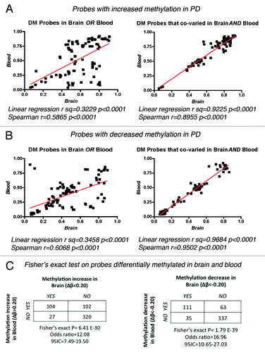 Figure 2. Correlation of β-values between brain and blood in PD samples. Linear regression and Spearman correlation coefficients were calculated for the methylation values (β) of individual PD samples for the top 20 DM probes that showed increased (A) or decreased (B) methylation in only one tissue or that co-varied in both brain and blood. (C) Fisher’s exact probability test on DM probes testing the null hypothesis that the observed changes in methylation in brain were independent of the changes on the same probes in blood.