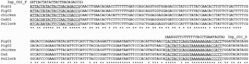 Figure 1. Multiple sequence alignments for COI sequences determined in this study. Majority of pigs have two types of DNA sequences (Pig01 and Pig02), but most chickens showed an identical sequence (chicken). Two types of fish meat sources were found from cod and pollock. The underlined sequences indicate the primer sequences for the universal primer set.