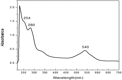 Figure 2. UV-visible spectra of sappan wood extract.
