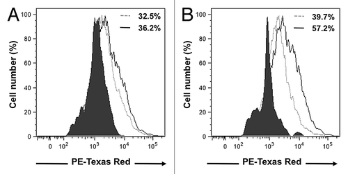 Figure 5. D1 mesenchymal stem cell conditioned media increased cell surface expression of CCR1 and CCR5 receptors in 4T1 cells. Representative flow-cytometry histograms that depict the CCR1 (A) and CCR5 (B) receptors expressed on the cell surface of 4T1 cell following a 24 h incubation in the presence of control media (dotted gray line) or D1CM (solid dark line). Staining with the secondary antibody alone (Texas red conjugated anti-goat antibody) is depicted as solid black area. These results are representative of at least three separate experiments. Results indicate that incubation with D1CM led to a limited and a larger cell surface expression of CCR1 and CCR5, respectively.