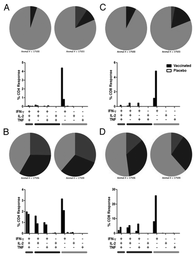 Figure 7. Polyfunctional analysis of lung T cell responses on study days 18 and 43. Animals were immunized with aerosol AERAS-402 (black bars) or placebo (white bars) on study days 1, 8, and 15. Two animals each from vaccinated and placebo groups were pre-selected for BAL collection at each necropsy time point (days 18 and 43). Cells were isolated and evaluated by intracellular cytokine staining to measure IFN-γ, IL-2, and TNF production by CD4+ (A-B) and CD8+ (C-D) T cells on study days 18 (A,C) and 43 (B,D). Bars represent background-subtracted Ab85A/b responses for individual animals for each of the possible cytokine combinations. Grey bars below plots refer to the functionality shown in the pie charts. Pie charts represent the functionality (3 functions, 2 functions, or one function) of the T cell response for each animal.