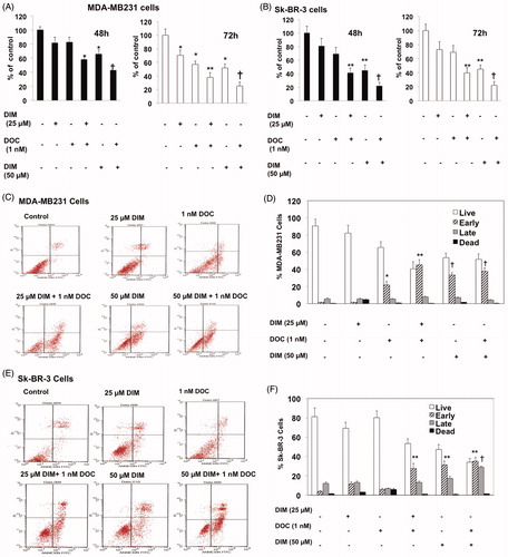 Figure 1. DIM decreased the viability and enhances apoptosis of breast cancer cells treated with docetaxel (DOC). (A) MDA-MB231 and (B) SkBR3 cells were treated for 48 or 72 h with the indicated concentrations of DIM with or without 1 nM DOC. Cell viability was determined by the MTT assay. (C, D) MDA-MB231 and (E, F) SkBR3 cells were treated for 48 h, harvested, and subject to annexin V-FITC plus propidium iodide staining. Apoptosis was analyzed by flow cytometry and normalized to untreated controls. Data are calculated as percent of control and expressed as the mean percentage of control ± SE of 3 independent experiments. p Values were determined using ANOVA. Bars with different symbols are significantly different (*, p < 0.05 vs. control, **, p < 0.01 vs. control, 25 µM DIM alone, DOC alone; †, p < 0.001 vs. control, 25 µM DIM alone, DOC alone, and 25 µM DIM plus DOC).