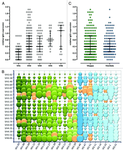 Figure 5. Relative expression levels of different VH/VL IgG1 pairs determined by ELISA. (A) VH, (B) VH/VL and (C) VL (Vκ: green, Vλ: blue) relative production yields are shown compared with a high expressing internal reference IgG1 antibody. In (A) and (C) the median with interquartile range is shown, in the bubble chart (B) the bubble area correlates with relative IgG1 expression. Orange bubbles and circles show the final selected 36 VH/VL pairs that are included in Ylanthia. The circles indicate VH/VL pairs that were not determined.