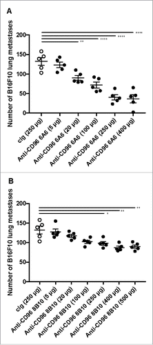 Figure 2. Dose response of anti-CD96 mAbs, against B16F10 experimental lung metastases. WT mice were injected i.v. with B16F10 melanoma (1 × 105 cells). On day 0 and 3 after tumor inoculation, mice were treated with i.p. injections of cIg (250 μg) or various doses of anti-CD96 mAb (A) 6A6 (rat IgG2a) and (B) 8B10 (rat IgG2a) as indicated. The cIg group shown is common to parts A and B. The metastatic burden was quantified in the lungs after 14 days by counting colonies on the lung surface. Individual mice are represented by each symbol and means ± SEM of 5 mice per group are shown. Significant differences between groups as indicated by crossbars were determined by a one-way ANOVA with post Tukey test (*: p < 0.05, **:p < 0.01, ****: p < 0.0001).