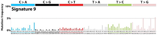 Figure 2. The potential DNA polymerase η mutational signature (Signature 9, http://cancer.sanger.ac.uk/cosmic/signatures). The mutation context (+1 and −1 positions) are shown below frequency bars. This signature (together with more than 20 other distinct mutational signatures) was extracted using a classification analysis of 4,938,362 mutations from 7,042 cancers [Citation26].