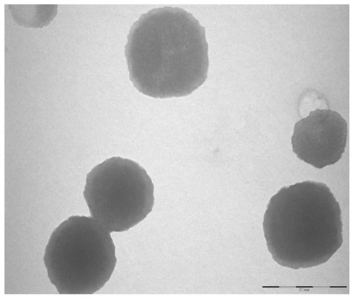 Figure 3 TEM of chitosan nanoparticles.Note: Scale bar 500 nm.Abbreviation: TEM, transmission electron microscopy.