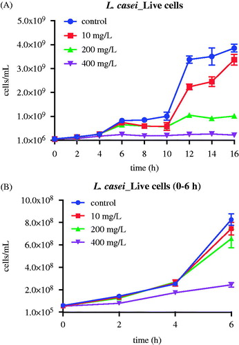 Figure 3. The effect of 10, 200 and 400 mg/L (low, medium and high concentrations) nMST-Au(III) on Lc growth curves at 37 °C over time (A) all time points (0–16 h) and (B) 0–6 h. All concentrations showed antibacterial activity on Lc growth. High concentration worked as antibacterial agent to highly inhibit Lc at as early as 2 h.