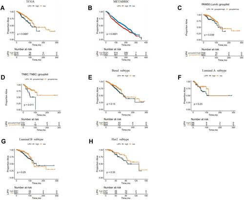 Figure 2 Survival curves according to the expression level of LIPH using TCGA (A, C–H) and METABRIC (B) databases. PAM50: A 50-gene signature that classifies breast cancer into five molecular intrinsic subtypes: Luminal A, Luminal B, HER2-enriched, Basal-like, and Normal-like. Luminal A subtype (ER or PR positive, or both, HER2 negative); luminal B subtype (ER or PR positive, or both, HER2 negative); HER2 subtype (HER2 positive, ER or PR negative or positive); Basal subtype (HER2 negative and ER and PR negative).
