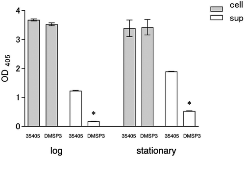 Figure 3. Dentilisin activity of wild type (35405) and msp-deficient mutant (DMSP3). Data are presented as means ± SD, and statistically significant differences are indicated by asterisks (student t-test; *p < 0.05 compared to the wild type). 35405: T. denticola ATCC 35405, DMSP3: T. denticola DMSP3, cell: cells of T. denticola, sup: culture supernatant of T. denticola, log: log phase, stationary: stationary phase.