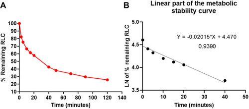 Figure 5 The metabolic stability curve of RLC in HLMs (A) and the regression equation of the linear part of the curve (B).