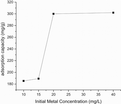 Figure 8. Plot of adsorption capacity versus initial metal concentration at pH = 4 and solid concentration = 10 g/L.