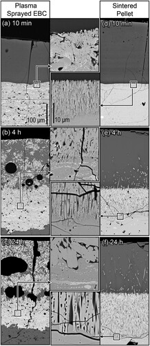 Figure 14. Low- and high-magnification images of the reaction front for (a, c, e) APS YDS and (b, d, f) sintered pellets. The bottom portion of each inset is unreacted material, the lighter phase in the top of the insets is apatite, and darker phase is residual glass. The larger dark globular regions in (a, c, e) are pores. Reproduced with permission from Reference [Citation61], Elsevier 2018.