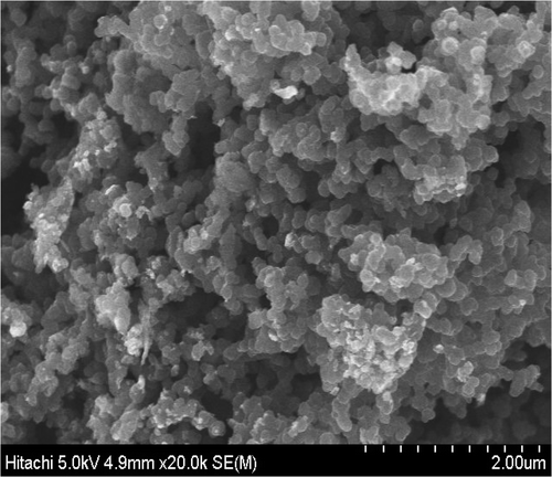 Figure 1. SEM-micrograph of PPy/Al2O3 nanoparticles (magnification: 20,000×).