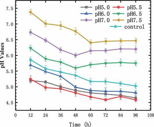 Figure 3. Effect of initial pH values on pH changing in fermentation broth