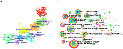 Figure 6 Cluster Analysis of Keywords and Disciplines in Co-Citation Articles of PHN and VZV Using Citespace Software.