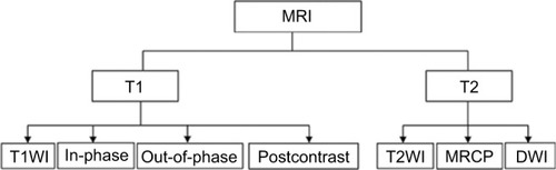 Figure 1 Basic MR sequences in liver imaging.