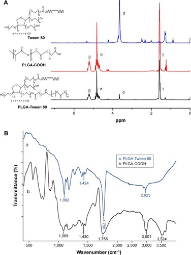 Figure 2 The chemical structure of PLGA and PLGA-Tween 80 copolymers.Notes: 1H-NMR of PLGA and PLGA-Tween 80 copolymers (A). Fourier transform infrared (FT-IR) spectra of (a) PLGA and (b) PLGA-Tween 80 (B).Abbreviation: PLGA, poly(d,l-lactide-co-glycolide).