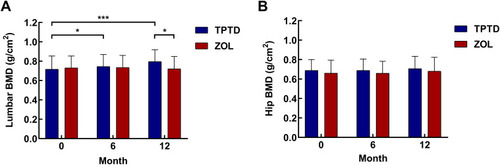 Figure 2 BMD before, 6 months and 12 months after surgery of patients in the TPTD and ZOL groups. (A) average BMD of lumbar spine (non-surgery segments), (B) average BMD of the total Hip. *P<0.05, ***P<0.0001.