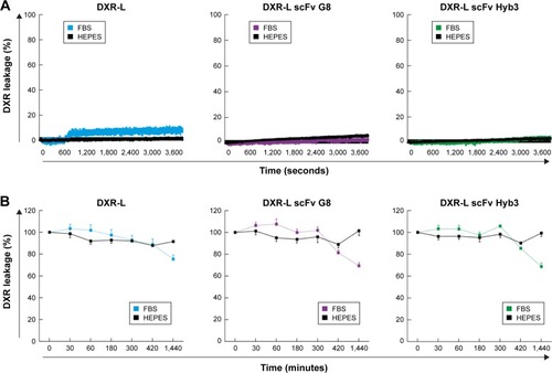 Figure 1 Stability of liposomal formulation in HEPES and 100% FBS at 37°C over time.Notes: The leakage of encapsulated DXR from liposomes (DXR-L, DXR-L scFv G8, and DXR-L scFv Hyb3) in different media and incubation times is shown. In black, measurements in HEPES are shown and in color, measurements done in FBS are shown: blue, DXR-L; purple, DXR-L scFv G8; and green, DXR-L scFv Hyb3. (A) Stability of DXR liposomes during 1 hour of incubation in HEPES and 100% FBS at 37°C. Lines represent the continuous drug fluorescence measured (at every second). (B) Stability of DXR liposomal formulations up to 24 hours in HEPES and 100% FBS at 37°C. Dots correspond to sampling time points and bars correspond to the standard error mean. These experiments were done with three independent batches of each formulation.Abbreviations: DXR, doxorubicin; DXR-L, DXR-loaded liposome.