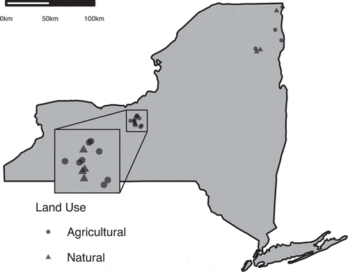 Fig. 1 Grass inflorescences were sampled from 19 locations over 2 years. Field sites were divided between two regions of New York State and two land-use categories: agricultural and natural