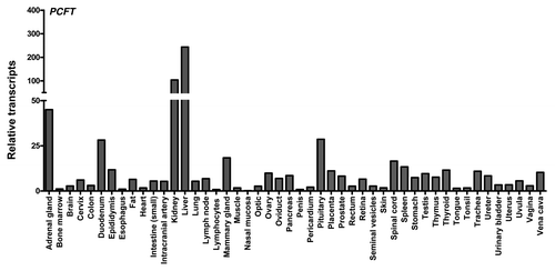 Figure 4. PCFT and RFC transcript expression in human normal tissues. PCFT transcripts were measured by real-time RT-PCR using an Origene cDNA array prepared from 48 pathologist-verified human normal tissues as previously described.Citation12 Transcript levels were normalized to GAPDH transcripts.