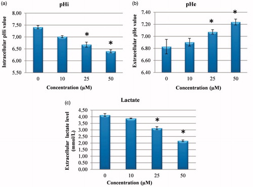 Figure 3. Measurement of pHi, pHe and extracellular lactate level. (a) The effects of sulphonamide 1 on pHi in HeLa cell. (b) The effects of compound 1 on pHe in HeLa cell media. (c) The effects of sulphonamide 1 on lactate level in HeLa cell media. The data are presented as the mean ± SD (n = 3). *p < 0.01 compared with the control.