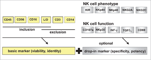 Figure 2. Modular quality control for NK cells. For NK cell phenotyping on accredited flow cytometer a backbone including the antibodies CD45, CD56, CD3, CD16, CD14 or CD14/DRAQ7 and live/dead staining such as 7-AAD or PI for NK cell identity should be accompanied by different variable drop in markers like NCRs or KIRs for specificity and potency. For NK cell functionality, the same backbone might be used in combination to intracellular staining or specific target labeling in case of effector: target cytotoxicity. NCR = natural cytotoxicity receptors; KIR = Killer immunglobuline like receptors.