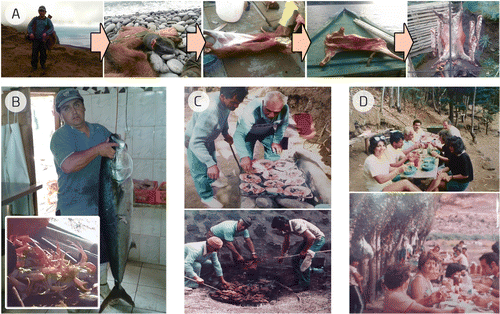 Figure 3 Illustration of the traditional practice of hunting (A). Seafood is also consumed (B), and it is common tradition to organize and prepare food (C) for family members or friends (D). Data source: Photos obtained from fieldwork.