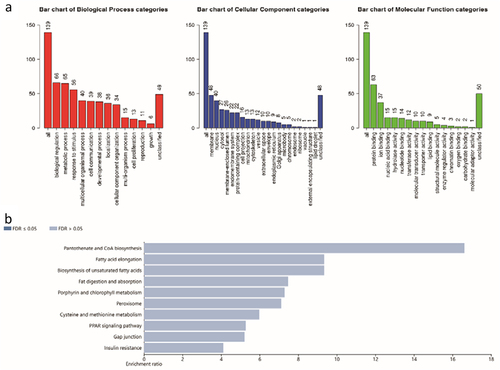 Figure 5. GO and KEGG analysis for the down-regulated ODEGs. (a) GO analysis for the down-regulated ODEGs; (b) KEGG analysis for the down-regulated ODEGs. FDR < 0.05 was considered significant.