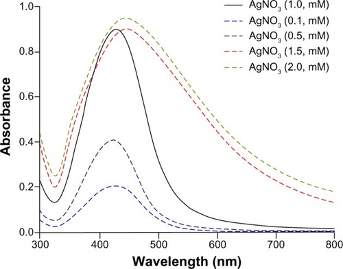 Figure 3 Ultraviolet-visible spectra of AH-AgNPs obtained via Agrimoniae herba extract at various concentrations of AgNO3.Notes: The full line represents the optimum concentration of AgNO3, and the dashed lines represent assayed concentrations of AgNO3. The ordinate represents the maximal ultraviolet absorption within a range of 300–800 nm.Abbreviation: AH-AgNPs, Agrimoniae herba-conjugated Ag nanoparticles.