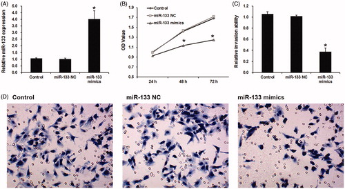 Figure 2. Effects of miR-133 on cell proliferation and invasion of glioma. (A) The effects of miR-133 mimic on miR-133 expression in U87 cells. The effects of miR-133 mimic on cell proliferation (B) and invasion (C and D) in U87 cells. *p < .05.