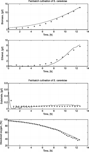 Figure 1. Comparison between a simulated and a real fed-batch S. cerevisiae cultivation process (run I).