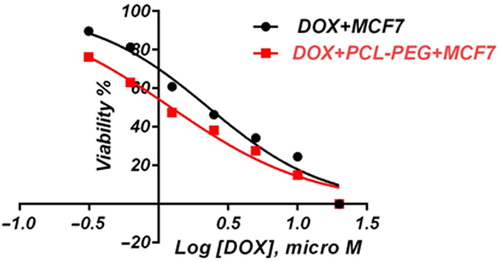 Figure 19. Normalized MTT assay data for free and encapsulated doxorubicin on MCF7 for 24-h exposure.