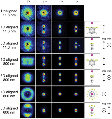 Figure 6. Fragment-ion angular distributions of adiabatically laser-aligned difluoroiodobenzene molecules probed by intense 11.6-nm (107 eV photon energy) FEL pulses as well as by strong-field ionization with an 800-nm laser pulse. The ion images were recorded with a velocity map imaging spectrometer. Figure adapted from [Citation74].