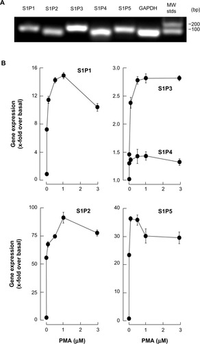 Figure 2 Macrophage differentiation correlates with significant increases in S1P1, S1P2, and S1P5 gene expression.