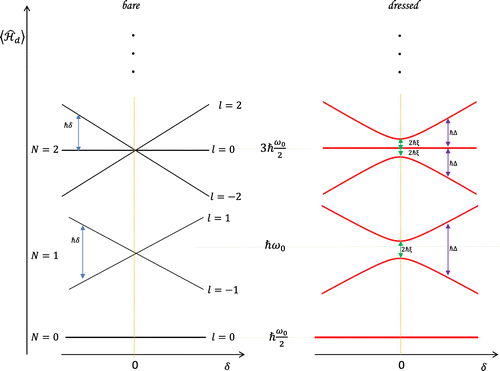 Figure 2. Left: The expectation values of the coupled Hamiltonian in the Fock states |nx,nz⟩, as given in (Equation89(89) ⟨H^d⟩=ħω02(N+1)+ħ2δl.(89) ). These are the so-called ‘bare’ states of the system. Right: Expectation values of the coupled Hamiltonian in the ‘dressed’ states |nαnβ⟩. The effects of the dressing are the formation of an avoided crossing between the l=nz-nx sub-levels of the system at the point δ=0. The size of the splitting is dependent on the electric coupling field strength in (Equation67(67) Ep(t)=Reϵpeiωpt(xe^z+ze^x)(67) ), where the renormalized strength ξ is defined in Equation (Equation76(76) ξ=e4m1ω1ωzϵp.(76) ) (not shown to scale).