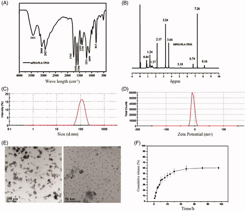 Figure 1. The characterization of tanshinone IIA-NP. (A) The FTIR spectra showed that the peaks of amide bands I and II of copolymer appeared at 1643 cm−1and 1566 cm−1, respectively. (B) 1H NMR spectrum demonstrated that the proton characteristic peaks of amide band sat 8.16 ppm. (C) The size distribution spectrum of tanshinone IIA-NP was between 100 and 200 nm. (D) The zeta potential was –7.12 ± 0.07 mV. (E) Representative transmission electron micrographs of tanshinone IIA-NP. (F) The vitro release of tanII A tanshinone IIA-NP in pH =7.2 PBS at 37 °C.