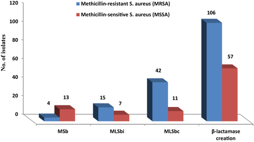 Figure 2 Association between methicillin-resistant S. aureus, β-lactamase and D-test. Where MSb phenotype (Staphylococcus species displaying resistance to erythromycin and susceptible to clindamycin and generous circular zone of inhibition around clindamycin disc), inducible MLSbi phenotype (revealing resistance to erythromycin and susceptible to clindamycin and generous D shaped zone of inhibition around clindamycin disc), and constitutive MLSbc phenotype (Staphylococcus species demonstrating resistance to both erythromycin and clindamycin with the generous circular shape of zone of inhibition).
